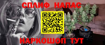 гашик Анапа