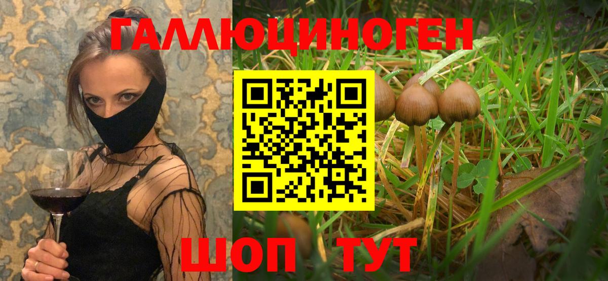 Рославль  как найти закладки  Вход с VPN  Псилоцибиновые грибы MAGIC MUSHROOMS 