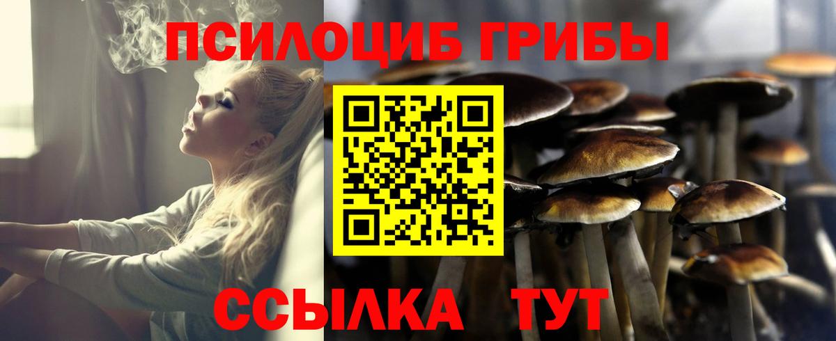 Галлюциногенные грибы Magic Shrooms Рославль